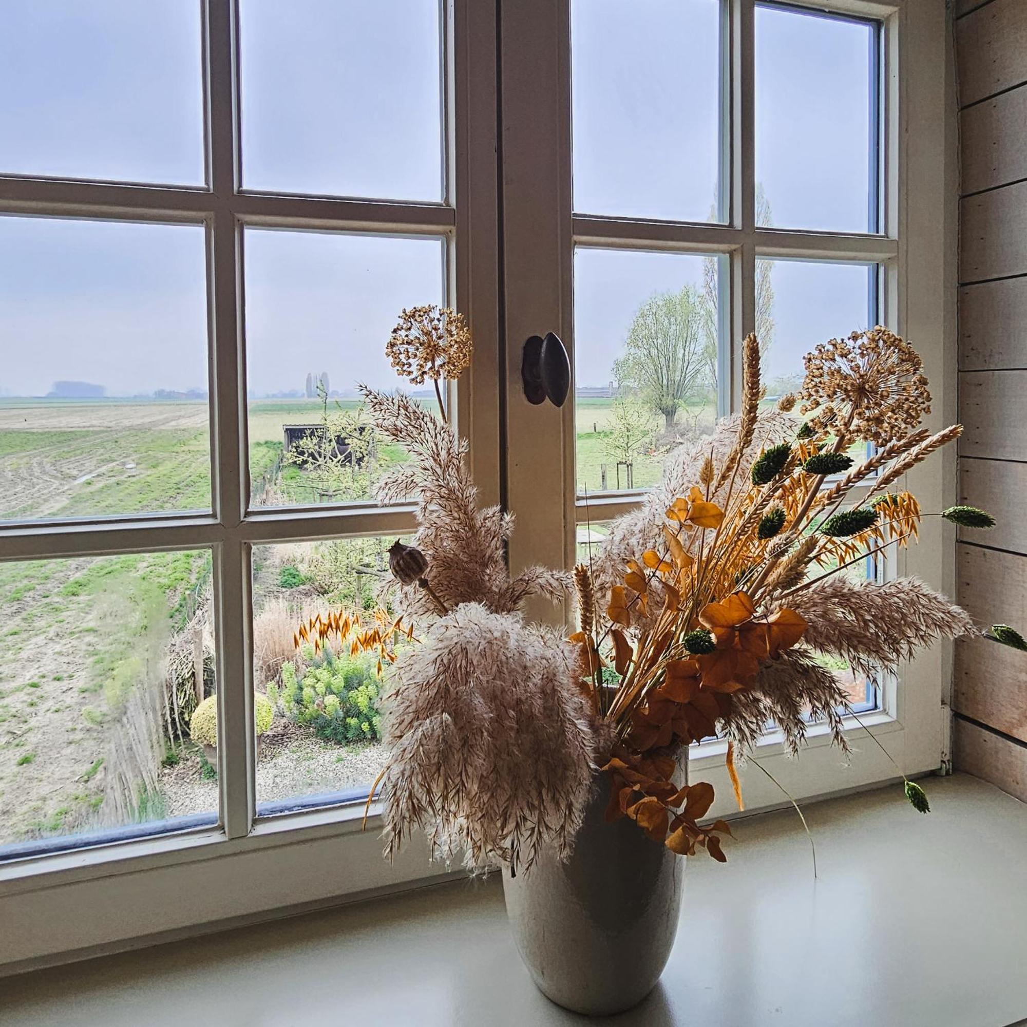Ruiselede Boutique B&B Droomkerke מראה חיצוני תמונה