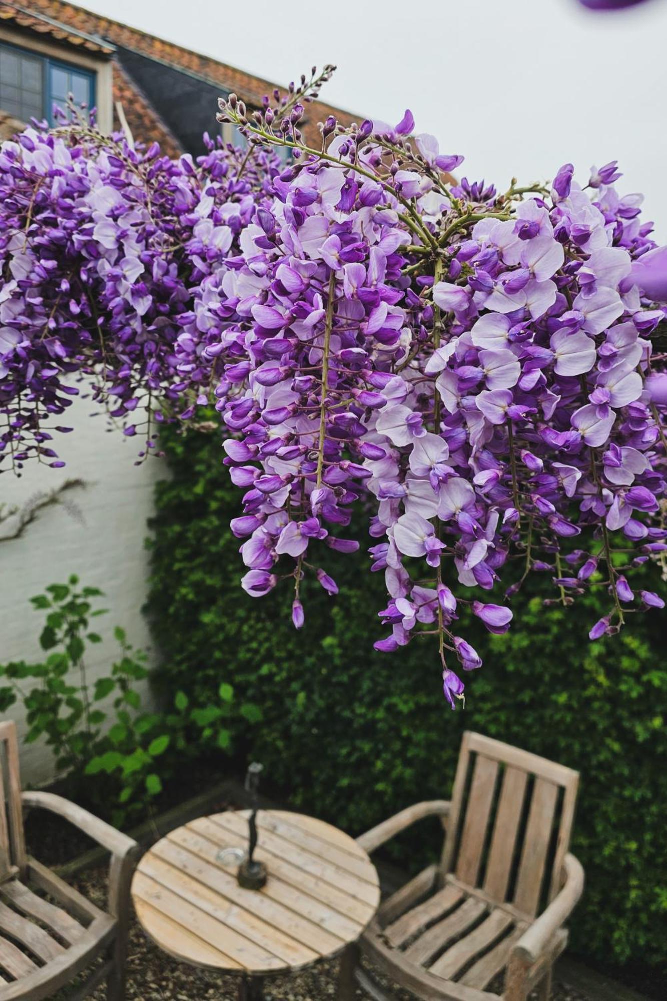Ruiselede Boutique B&B Droomkerke מראה חיצוני תמונה