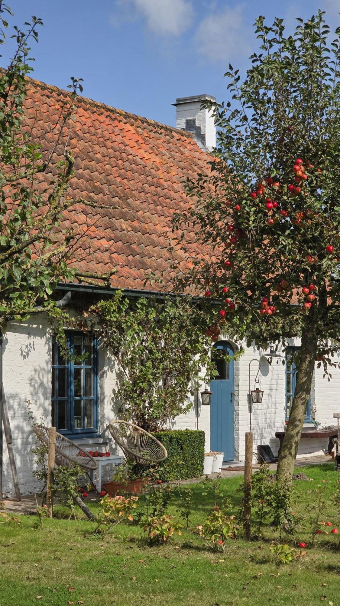 Ruiselede Boutique B&B Droomkerke מראה חיצוני תמונה